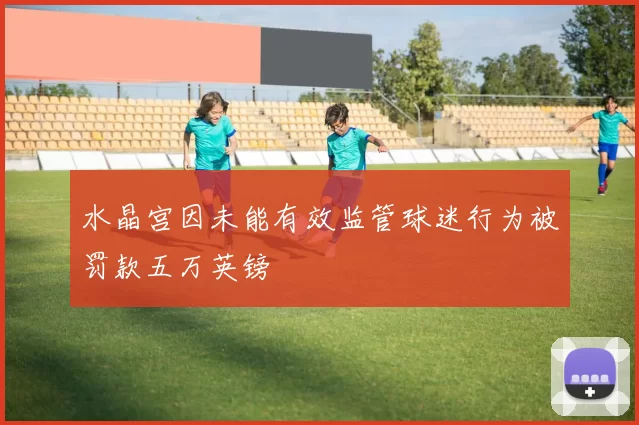 水晶宫因未能有效监管球迷行为被罚款五万英镑